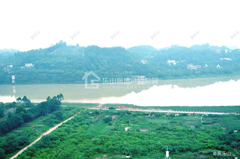 西岸第一城实景图