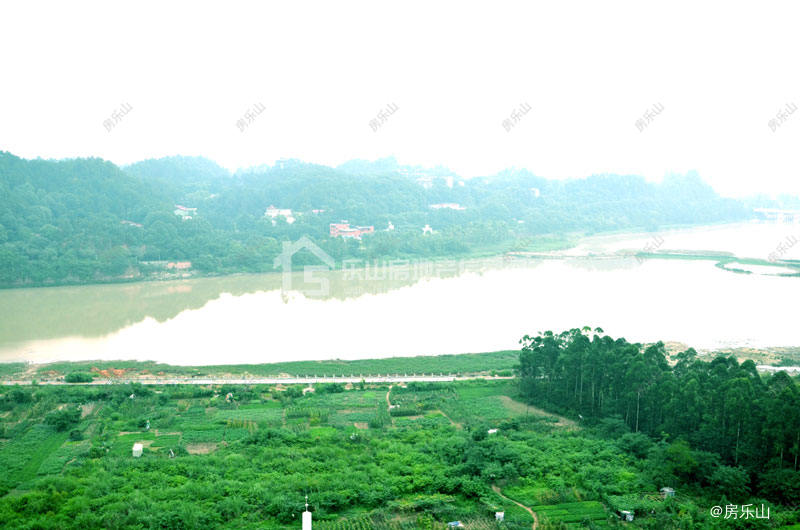 西岸第一城实景图