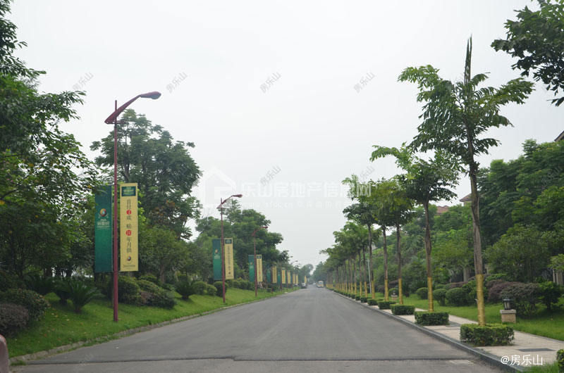 西岸第一城实景图