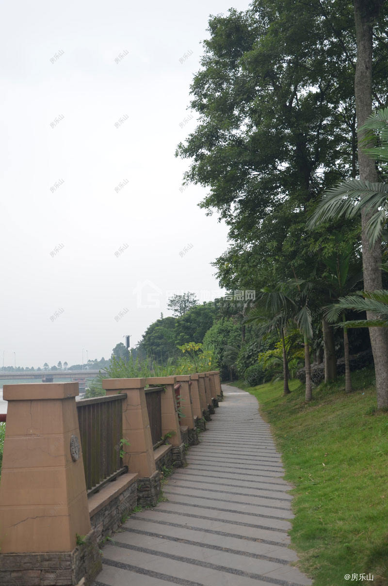 西岸第一城实景图