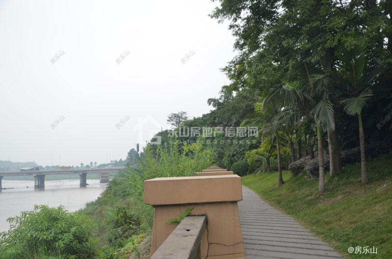 西岸第一城实景图