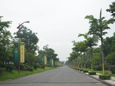 信息网专访：实探西岸第一城 最新工程进度大公开