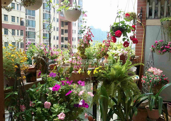 台精装修可秀美丽风景线.jpg 台精装修可秀美丽风景线.jpg