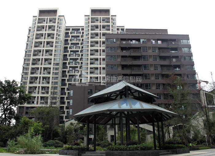 五洲汉唐最新工程进度大公开 纯正学区房实景呈现