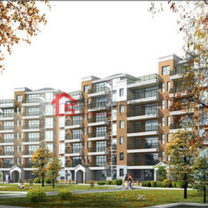 紫气东升效果图