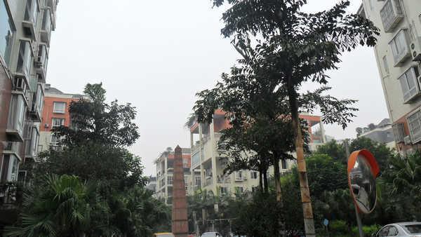 巴比伦空中花园实景图