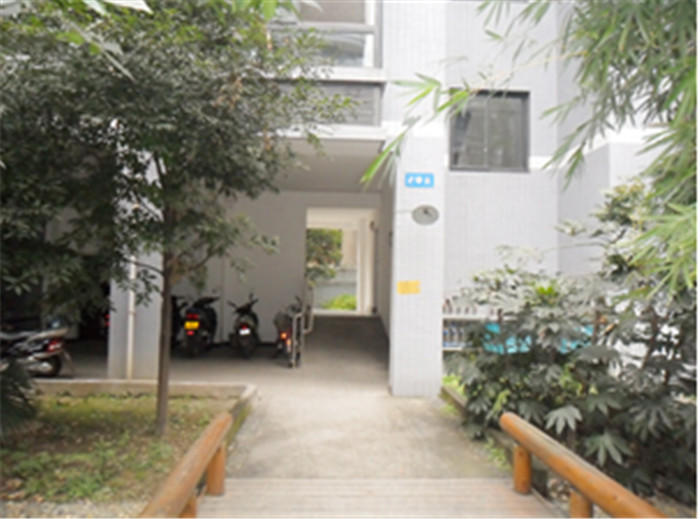 都市阳光实景图