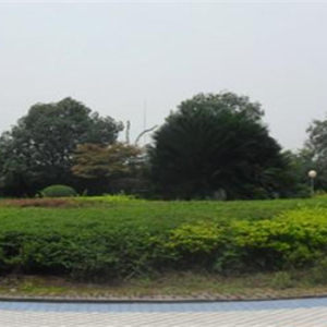 血站单位房实景图