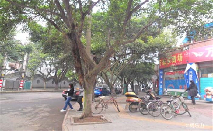 血站单位房实景图