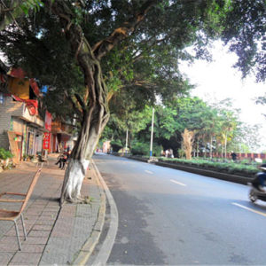 御史巷19号实景图