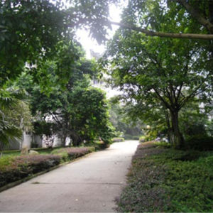 海关宿舍实景图