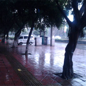 国税局旁实景图