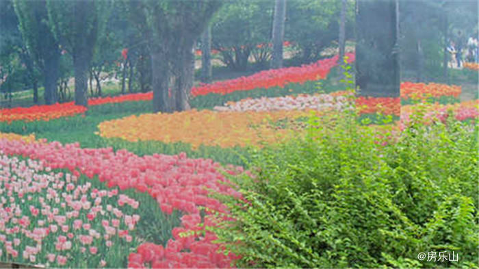 欧典花园实景图