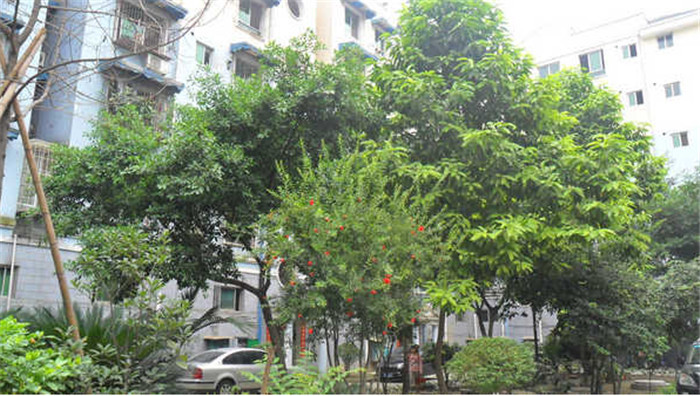 泰发苑实景图