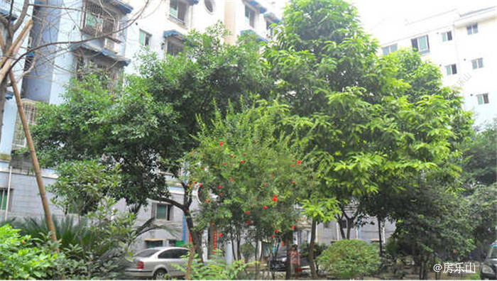 泰发苑实景图