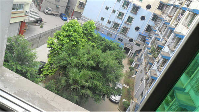 泰发苑实景图