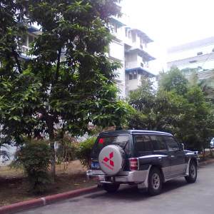 新天地花园实景图