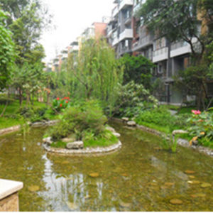 北欧印象2期实景图