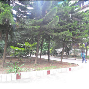 供电局宿舍实景图