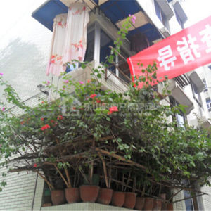 海棠路长线局实景图