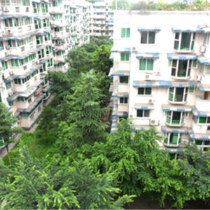 凤凰小区实景图