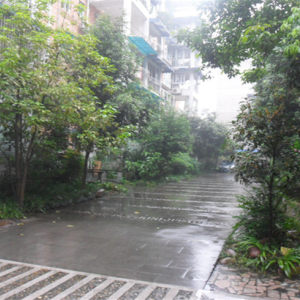 世代家园实景图