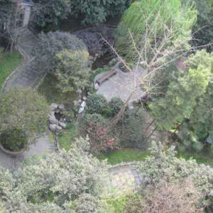 花语美地实景图