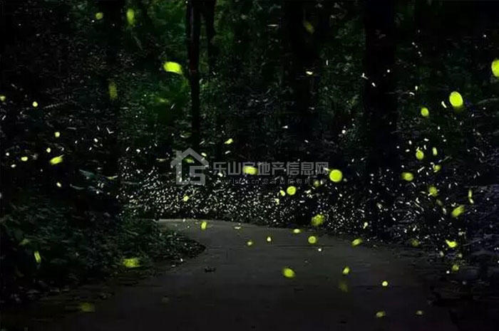 当你老了，我们把最好的时光都留在西岸第一城！