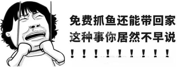 罗浮捕鱼大作战 鲫鱼鲤鱼抢到多少带走多少! 罗浮捕鱼大作战 鲫鱼鲤鱼抢到多少带走多少!