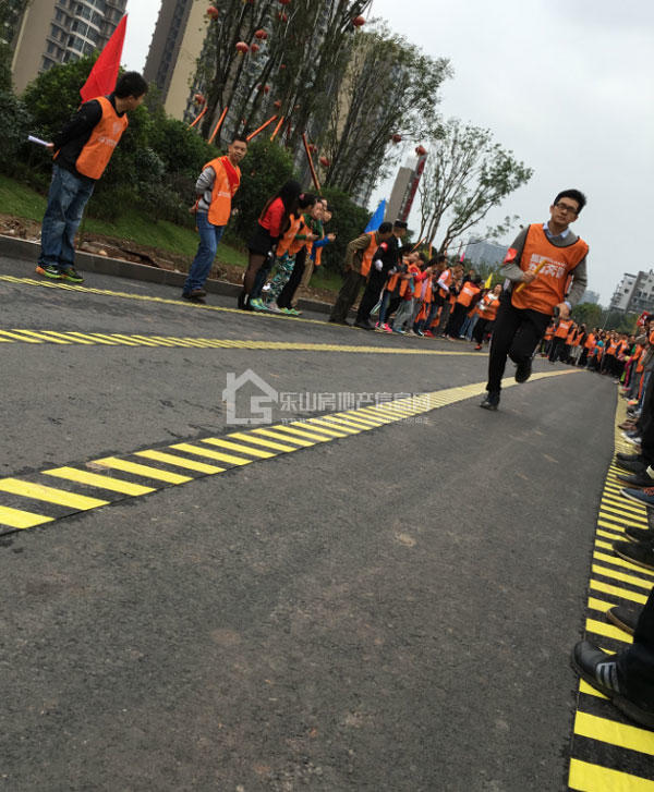 3115025539f2ddde788528.jpg