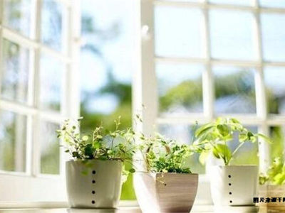 装修完才知道飘窗可以这么设计！悔到肠子都青了！