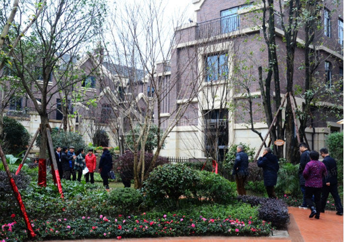 暖冬归家点亮幸福 滟澜洲·央墅12月4日完美交房-楼盘快报-乐山房地产