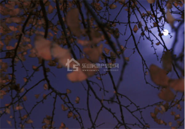 第二届醉美滟澜洲摄影大赛 发现这座城的最美景色!