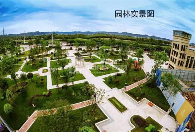 分享甜蜜汇聚快乐时光 铂金汇趣味DIY热闹继续!