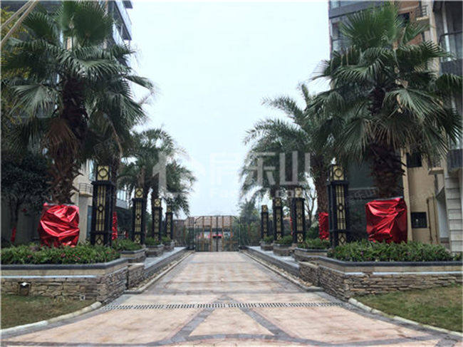 清盘!蓝湾半岛现房19.8万起!