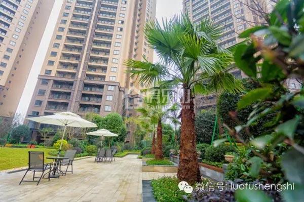 罗浮盛世新春新推独栋 特价套三28.8万起 QQ?20160220101136.jpg