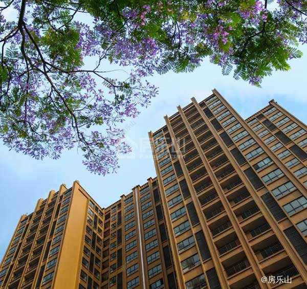 西岸第一城实景图