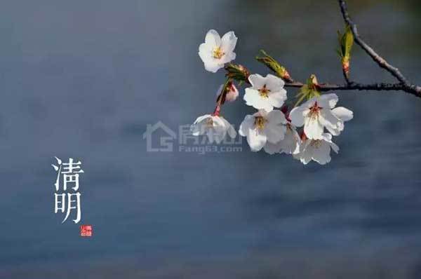 【大美倾城】四月的滟澜洲，风光美不胜收。