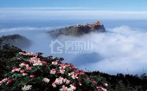春日里,如果你在乐山等我.... 02.jpg