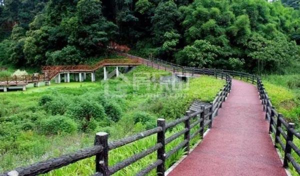 春日里,如果你在乐山等我.... 06.jpg