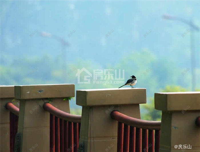 西岸第一城实景图