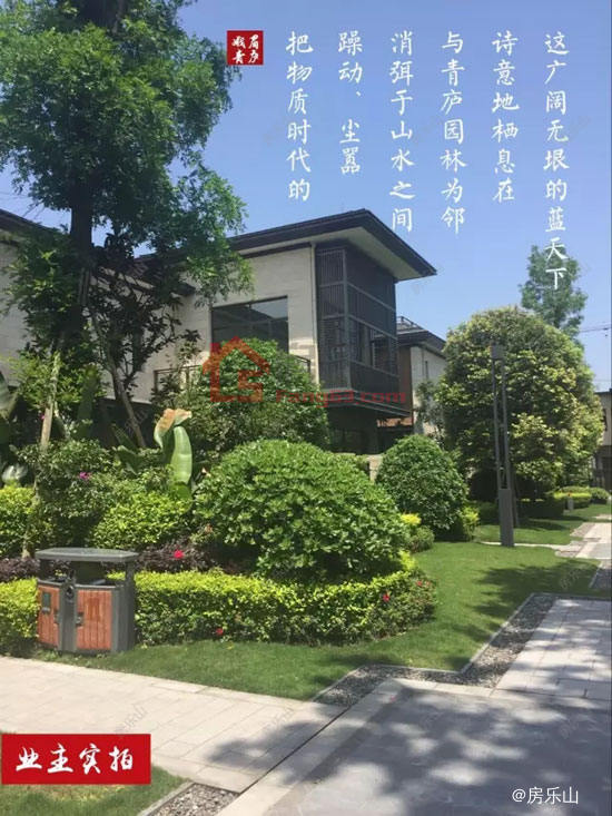 峨眉青庐实景图