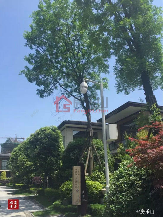 峨眉青庐实景图