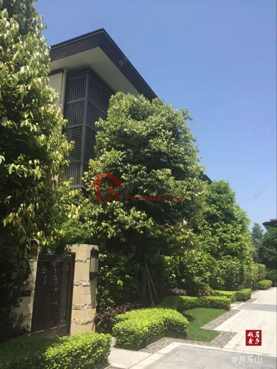 峨眉青庐实景图