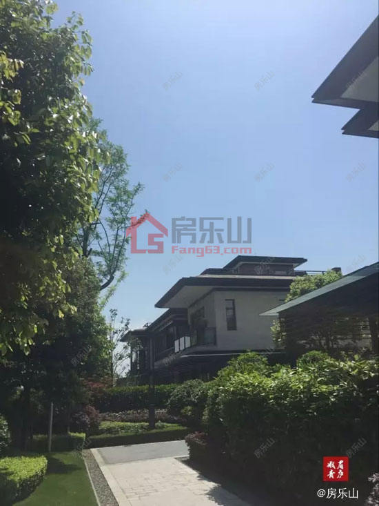 峨眉青庐实景图