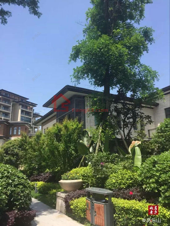 峨眉青庐实景图