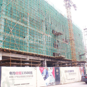 峨眉丰禾城实景图