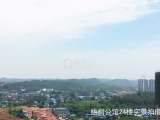 华泰梧桐公馆实景图