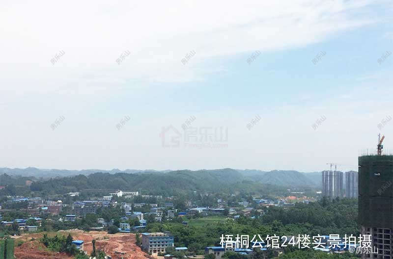 华泰梧桐公馆实景图