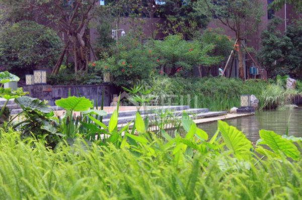 实用性远比排场更重要 均价3000元/㎡起的实用楼盘 实用性远比排场更重要 均价3000元/㎡起的实用楼盘